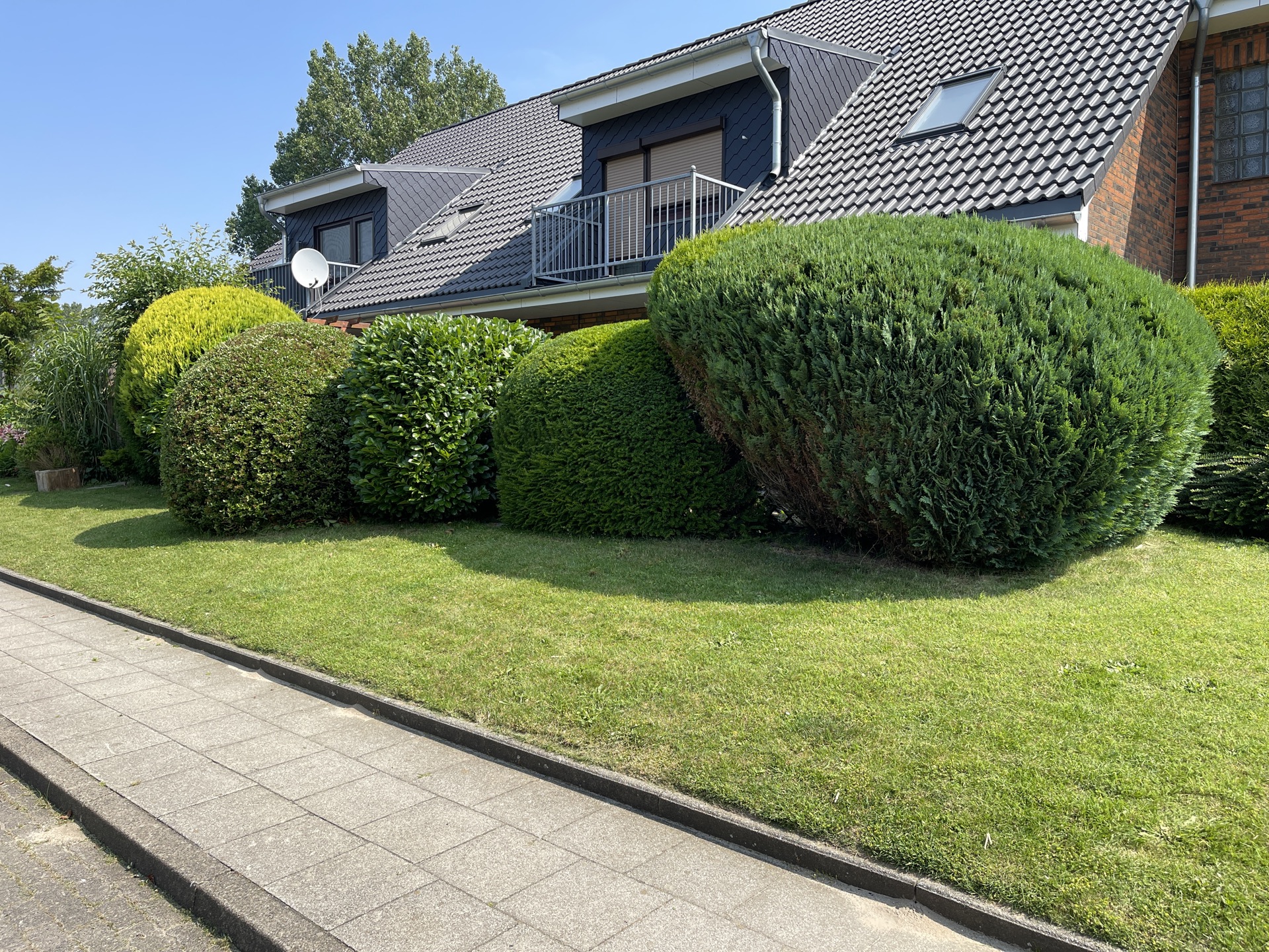 Gepflegte Außenanlage mit Hecke und Rasen an einem Mehrfamilienhaus – Hausmeisterservice von NordFlut